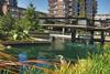 The Water Garden Project small © Refolo Landscape Architects - 1